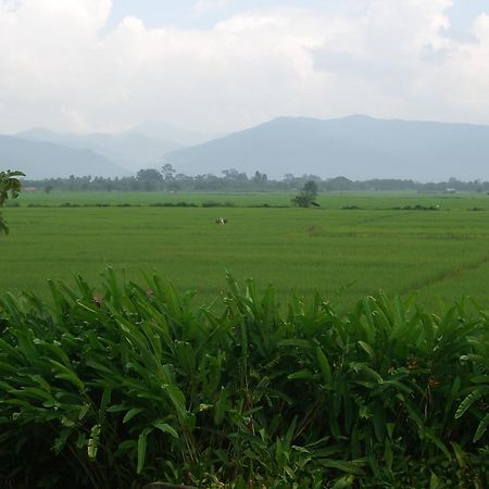 Rico Resort Chiang Kham Exterior photo